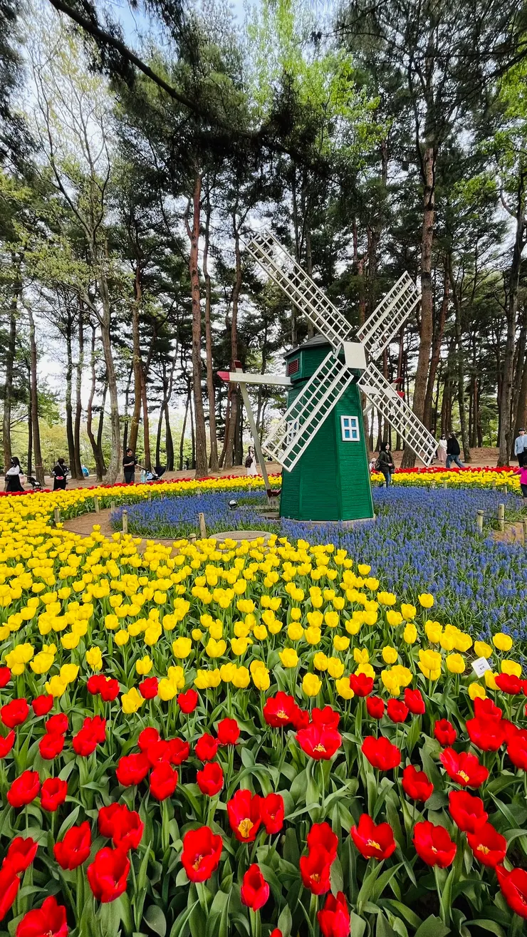 非常成功的造景。