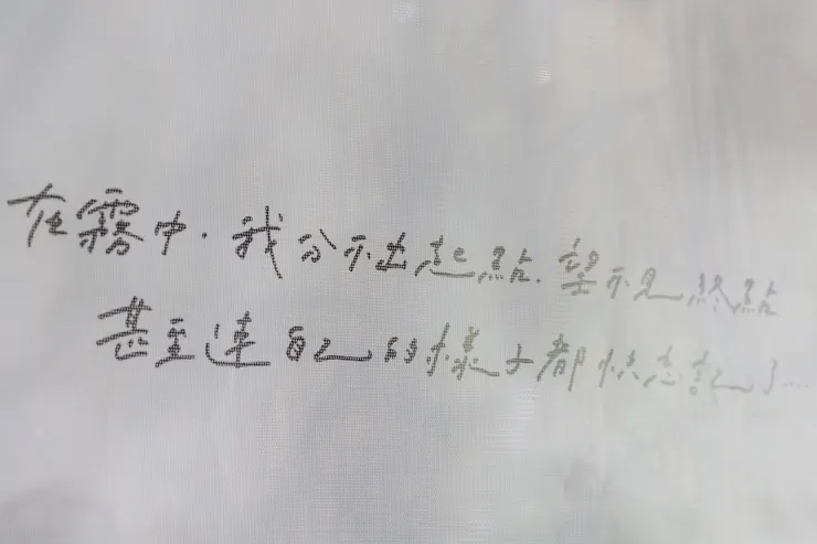 傳凱寫了一段很有滋味的話，作為主視覺