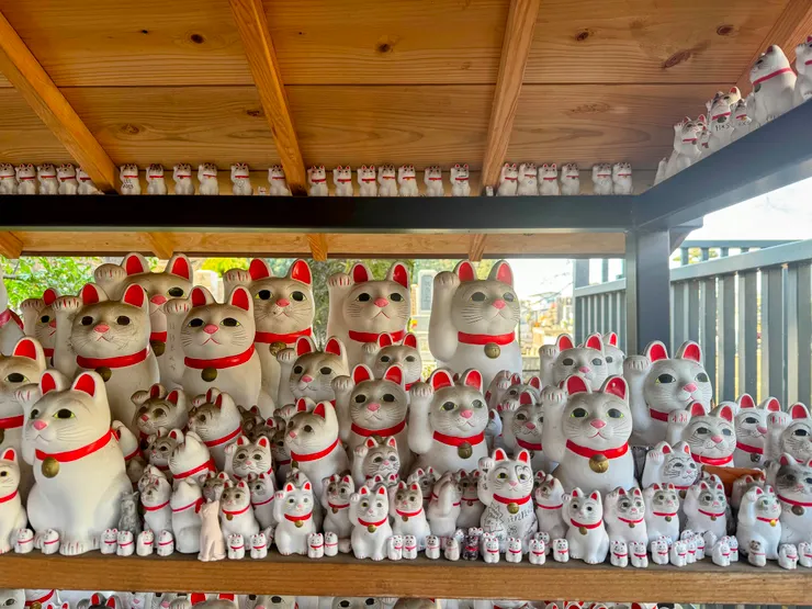 連小屋簷上方都擺滿招財貓