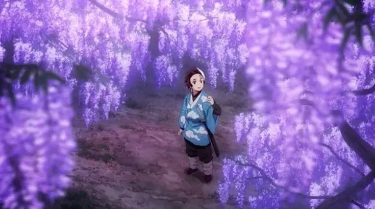 在《鬼滅之刃》中，紫藤花是鬼最恐懼的植物，這與日本神道教信仰有著非常深厚的淵源。(圖片出自影片截圖)