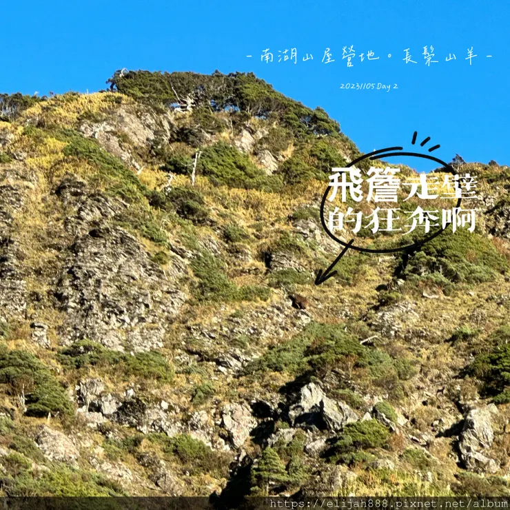 【帝王之山4天3夜】南湖大山雲海.聖稜線吃到飽之審馬陣山/南