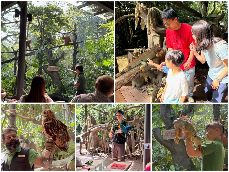 被滿滿動物圍繞的早餐時光