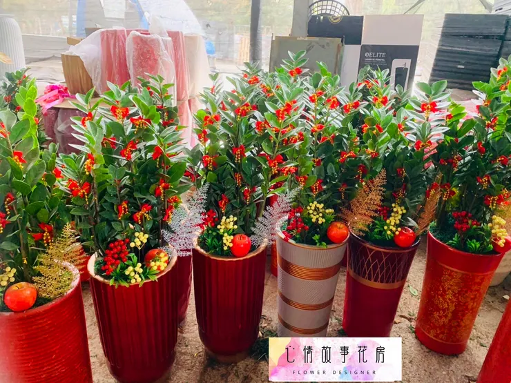 台南人推薦的開工植物盆栽！企業、銀行、醫院愛用，招財又大器！