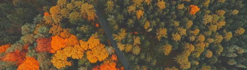 心理學Ｘ諮商人ＸPsychoStudio的沙龍