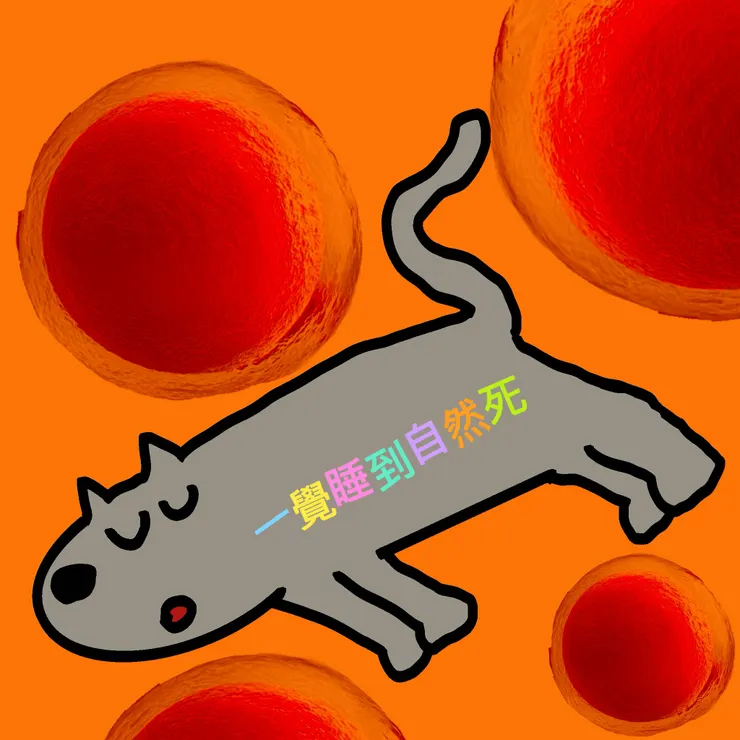 一覺睡到自然死