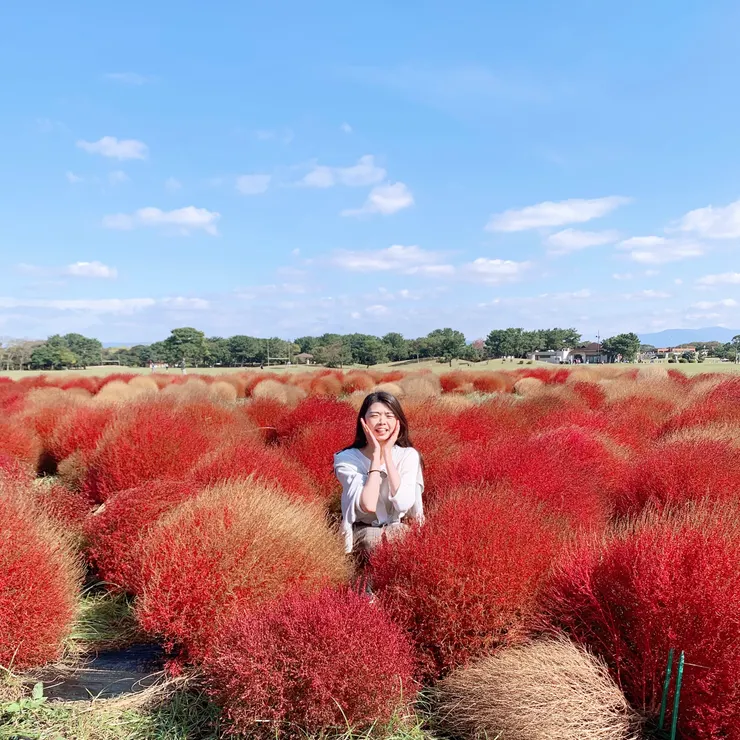 這張拍壞的照片搭配「對自己說話」的情境 剛好