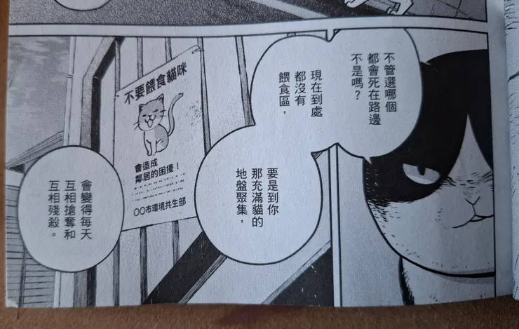 為了爭奪食物跟母貓而打架的街貓,其實很容易因為打架中造成的傷口惡化而喪命。