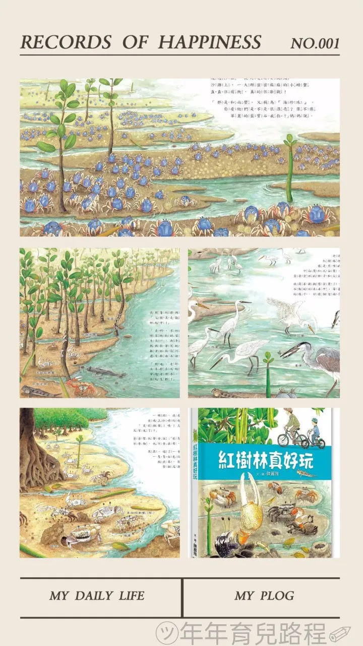 陳麗雅-紅樹林真好玩