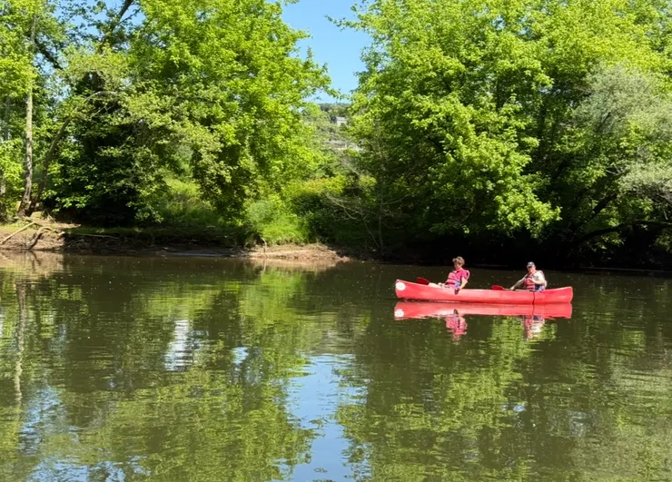 紅配綠，多麼美麗的顏色