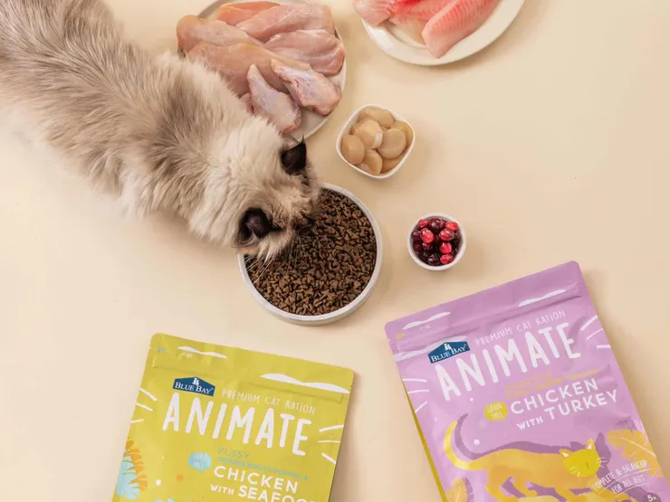 圖說：貓咪攝取過多碳水化合物是隱憂！利用「乾物比分析」功能，同步算出碳水化合物比例，避免高碳水影響肉食性貓咪的代謝健康。（資料來源：倍力寵物健康食品）