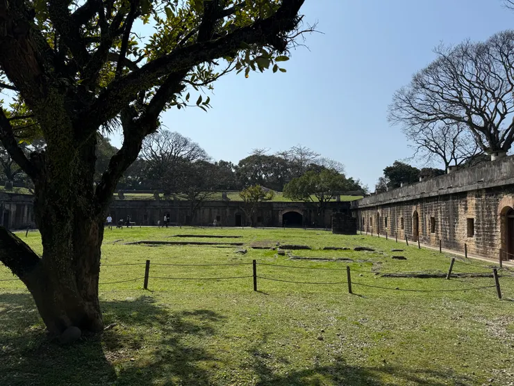 2026/02/21 大草皮