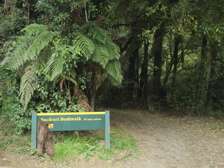 少數有螢火蟲,有整理又免費開放的步道。