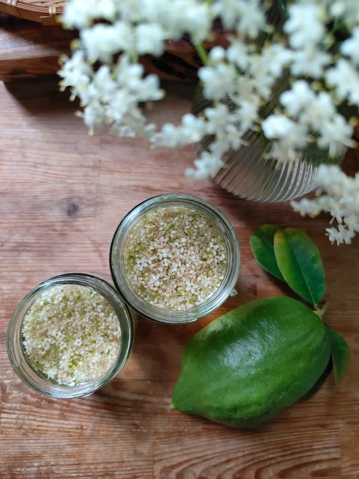 接骨木檸檬糖漿