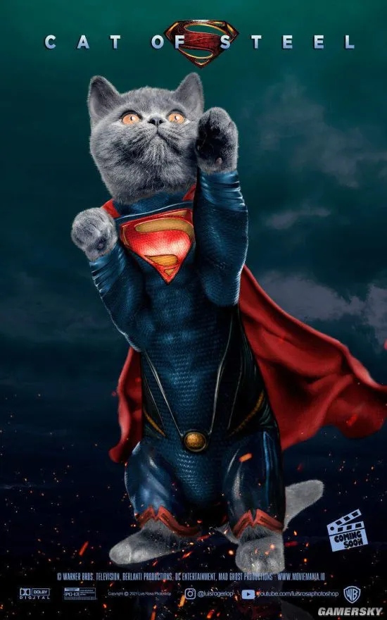 如何讓貓咪擁有超人般的健康跟活力?看下去就知道了!!!