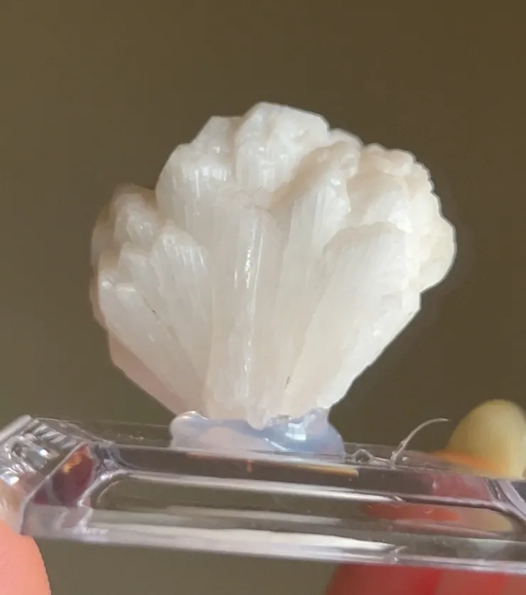 礦商自己挖的冰島沸石,這顆的沸石晶體很細緻呈圓圓胖胖的花形,超喜歡