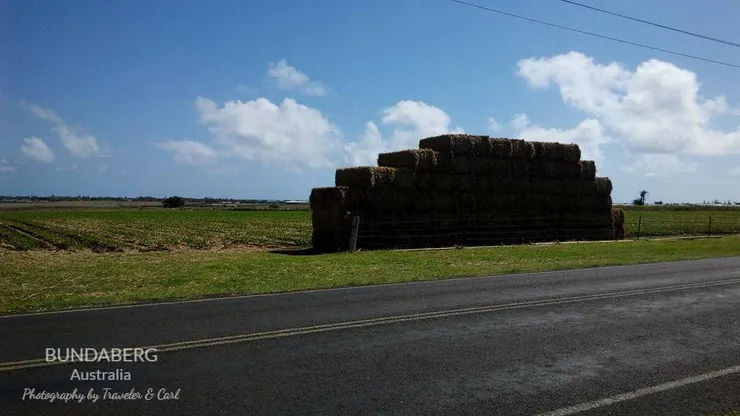 Bundaberg 農場道路旁，排列整齊的稻草堆