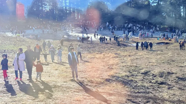 看到雪請導遊放我們下車