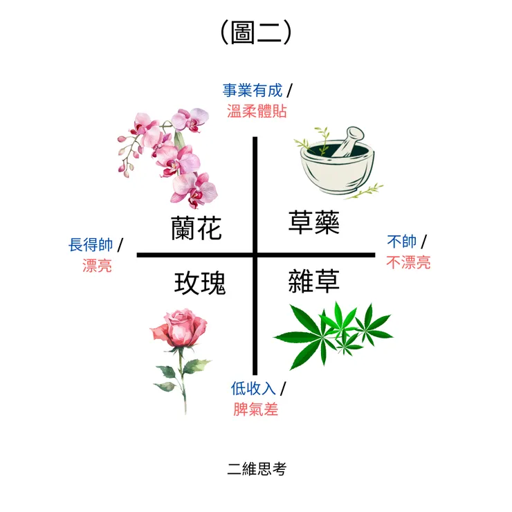 圖二：二維思考