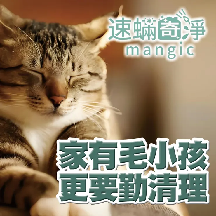 新北除螨推薦.台北除螨推薦.除塵螨推薦.塵螨多久除一次