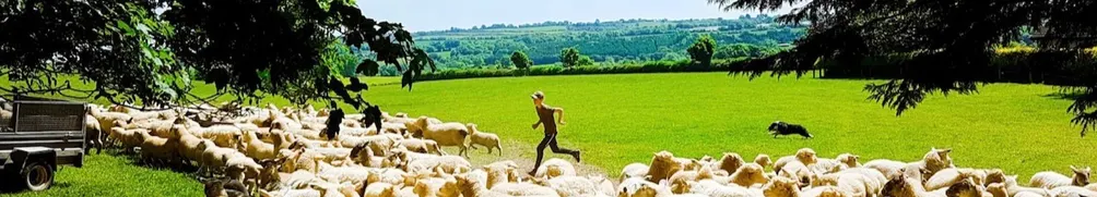 雲縵云云的沙龍