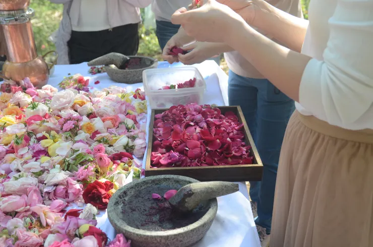 在花香之中 有一瞬間 我們回到生命最柔軟、最瑰麗的所在