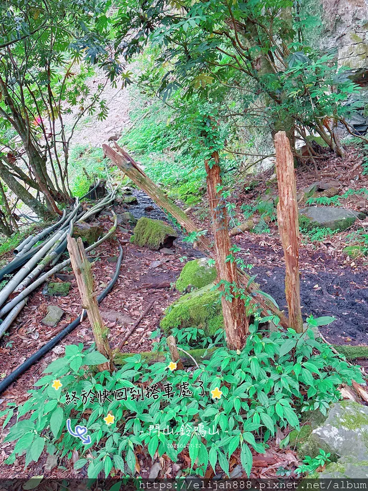 【閂山鈴鳴。兩日50公里百岳行】海拔3272公尺 鈴鳴山-