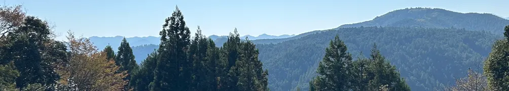 Hey! Fang 莫思安迷