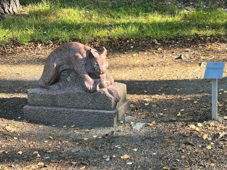 看不清楚是什麼動物