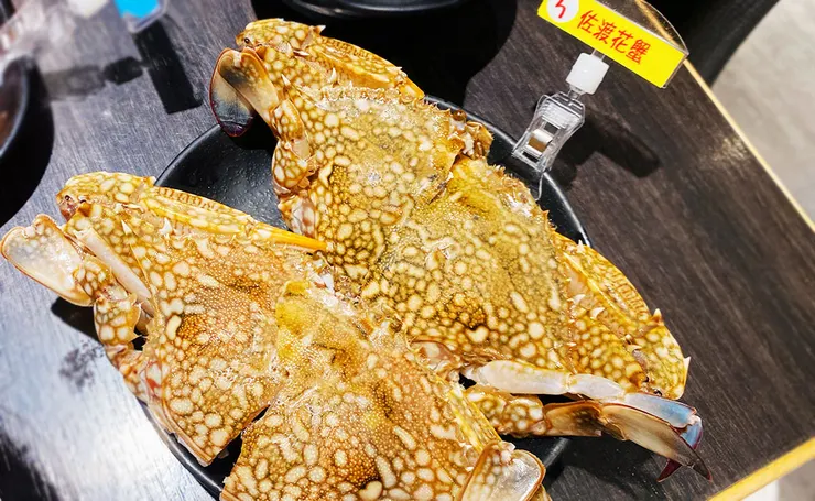 桃園林口火鍋吃到飽推薦-魔椒頂級鴛鴦鍋-林口店