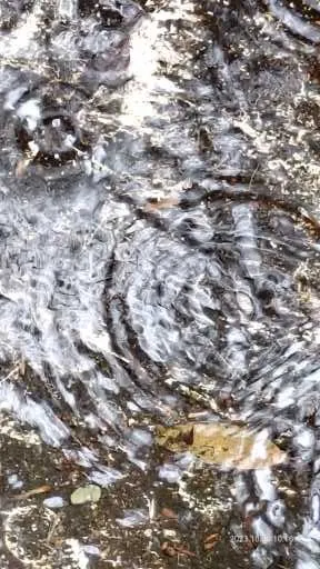 誰吹出來的漣漪?