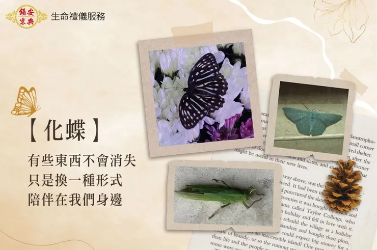 錫安京典禮儀公司提醒您-喪期勿打小昆蟲,傳說死後的親人會化為昆蟲回來