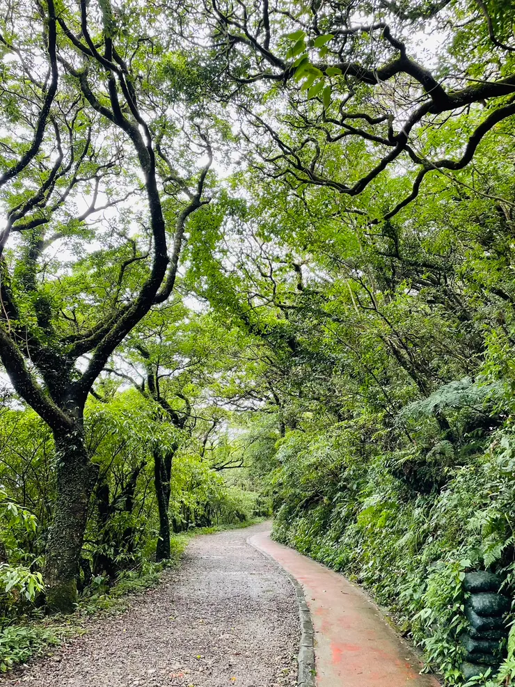 平坦好走的步道,即使是嬰兒推車或輪椅都很好行走。