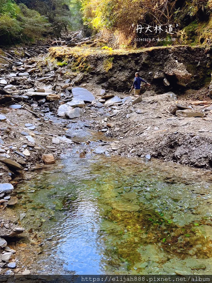【丹大林道.六順山.七彩湖】南投縣地利村哈木山民宿/丹大林道