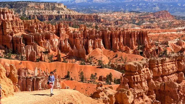好像很多人偶排排站