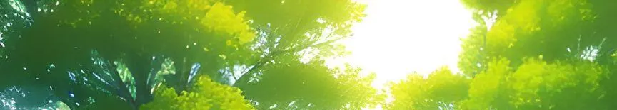 love to play的沙龍