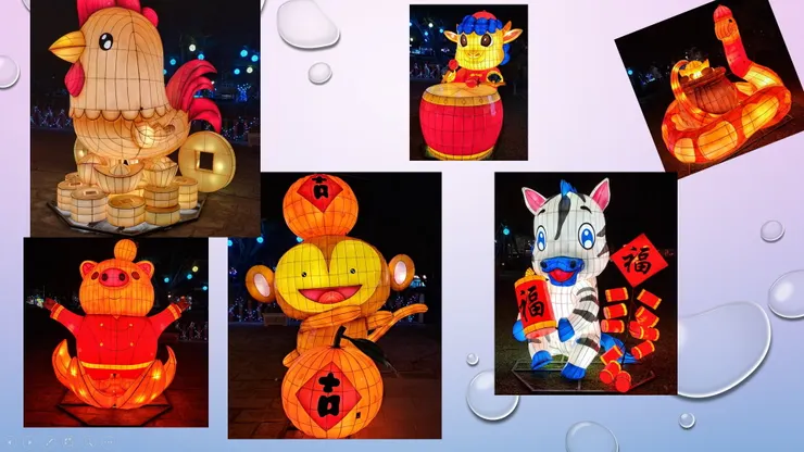 蛇馬羊猴雞豬很精采