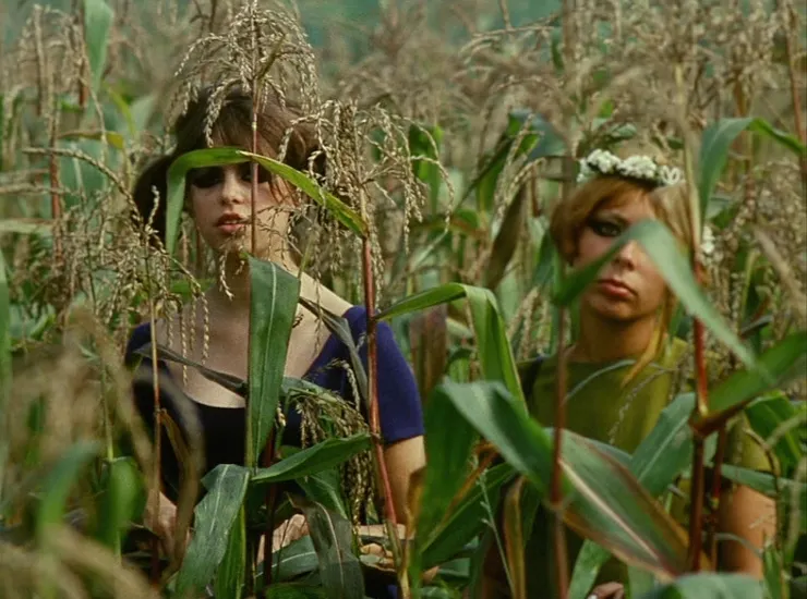 27.《野雛菊》（Sedmikrásky，1966）🇨🇿