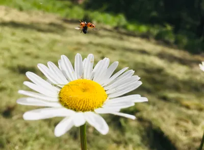 這是沒什麼人到訪的Youtube