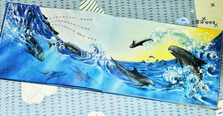 在海裡開心嬉戲追逐的鯨豚!