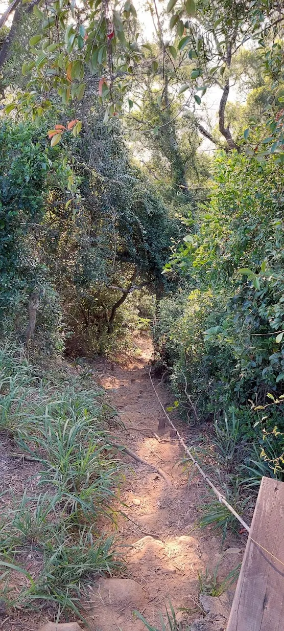 往觀音廟的陡下坡