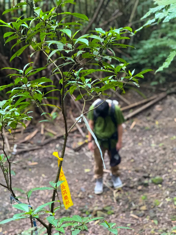 上坡了哦～～兒子～～～快來！🤣