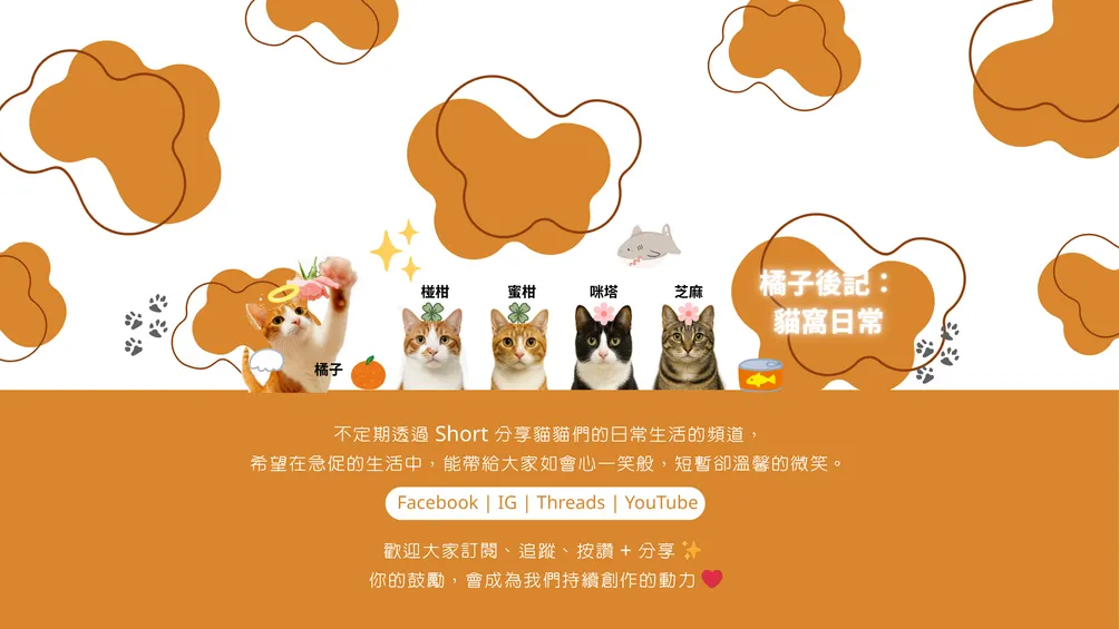 橘子後記：貓窩日常