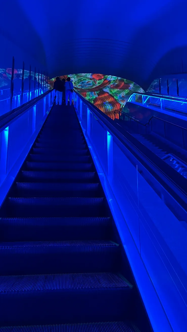 上升過程會有不同光影變化。