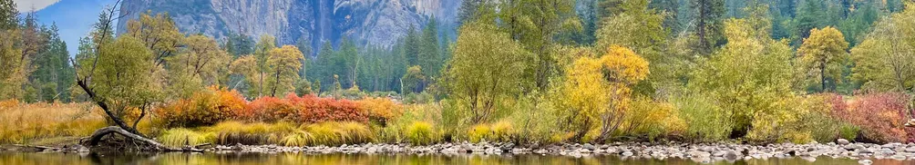 瑩瑩米袋子的沙龍