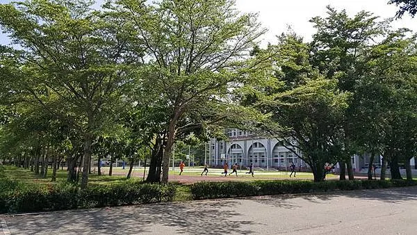 棒球場上晨跑的小鮮肉