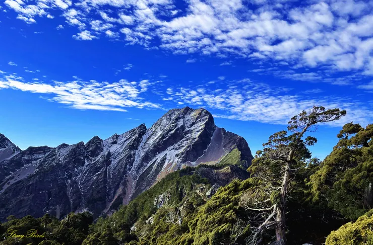 ▲玉山主峰：台灣第一高山，山姿雄偉，傲立群嶂