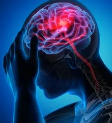 不要輕忽頭部撞擊（來源：NEURONEWS）