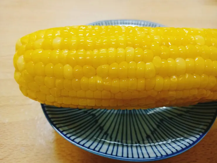 購於統一超商，原產地臺灣，每根49元。