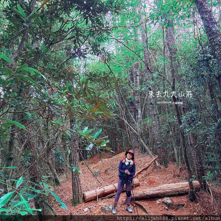 【大霸群峰4百岳。兩天一夜】觀霧大鹿林道東線騎越野單車/馬達
