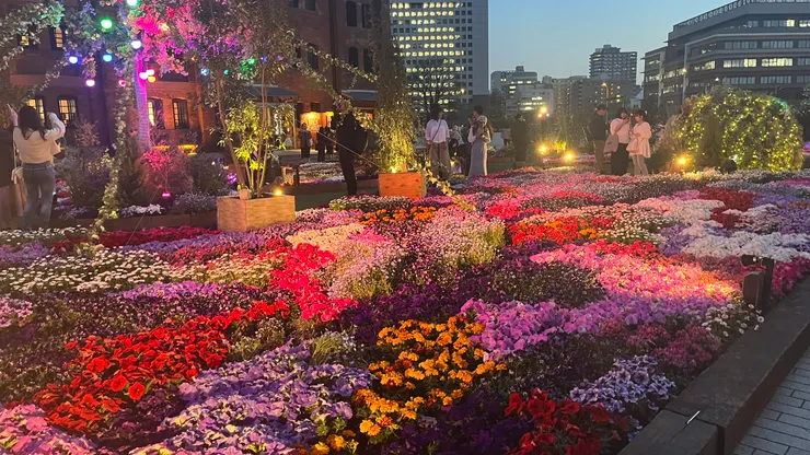 花朵本來就美，燈光下又是另一種風情。